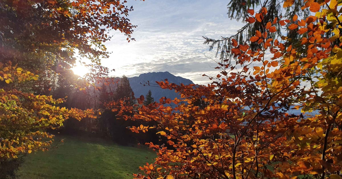 Herbstblick Untersberg © TVB Puch